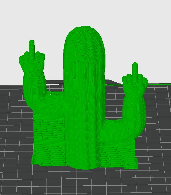 CACTUS FLIPPING THE BIRD