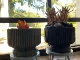 Mini Planter Table-2