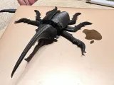 Beetle flexi-4