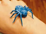 Torture Spider, 3D-printer torture test-0