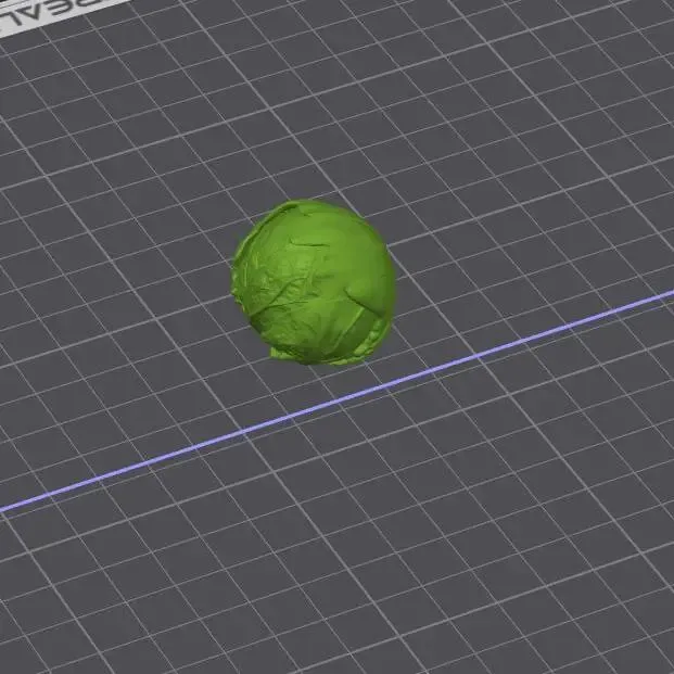 Brussels Sprout – Realistic 3D Model