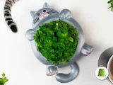 Tıknaz Kedi Saksısı-3