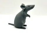 Mouse-5