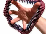 Squishy Loopz V2-1