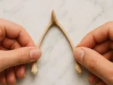 Breakable Wishbone-0