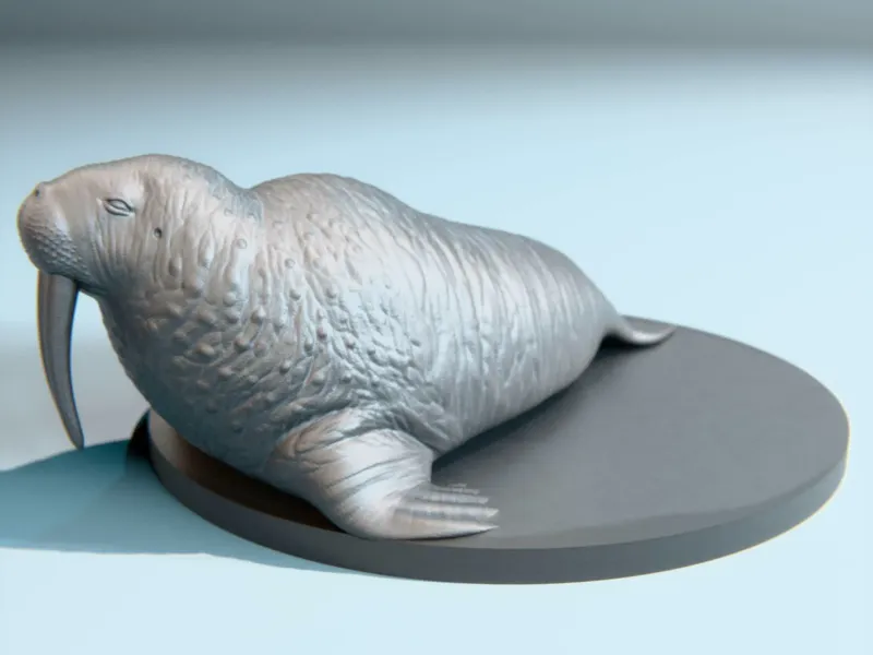 Walrus