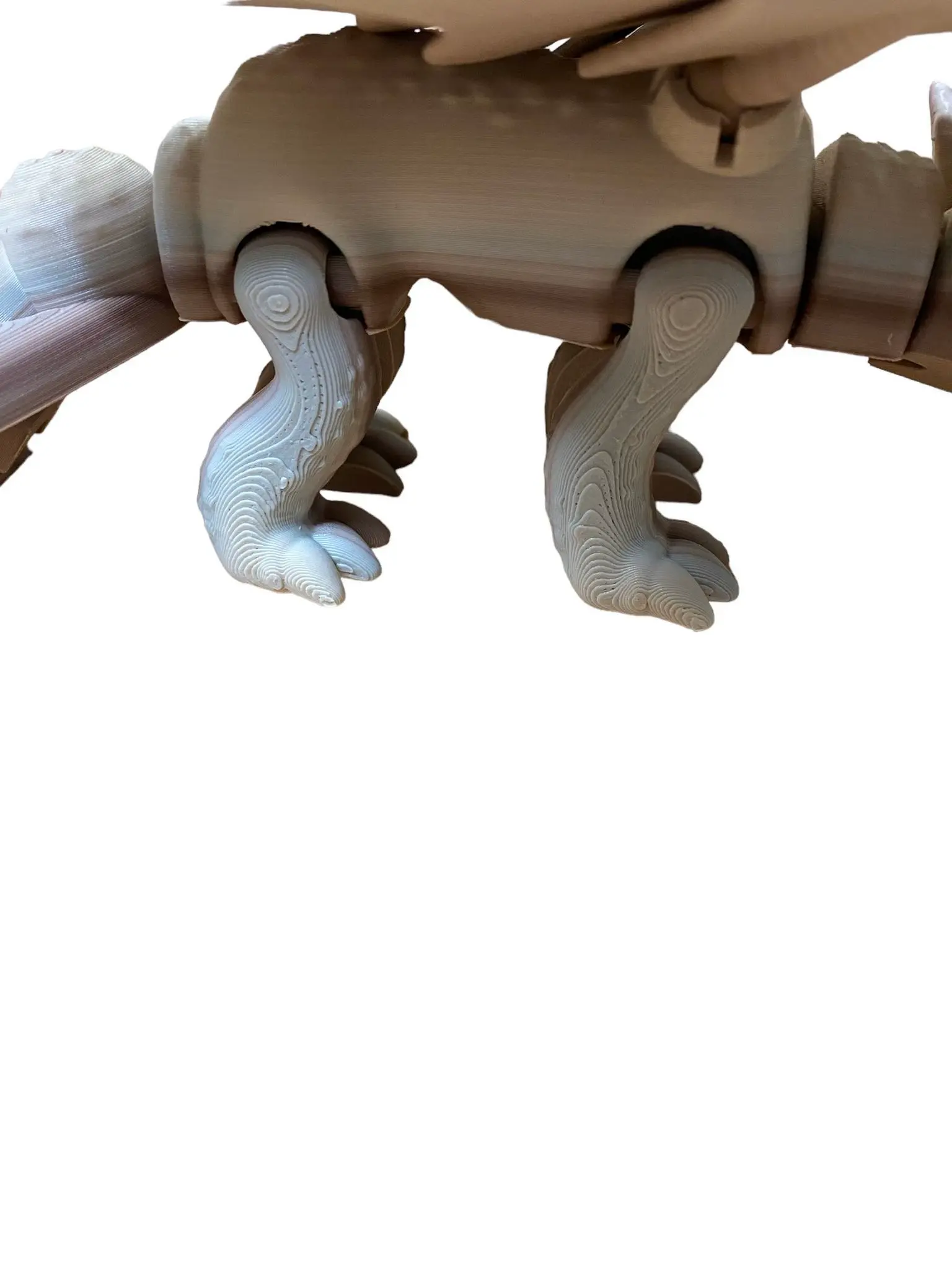 طبعة جديدة لغضب الليل