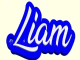 Keychain Liam / Llavero Liam-1