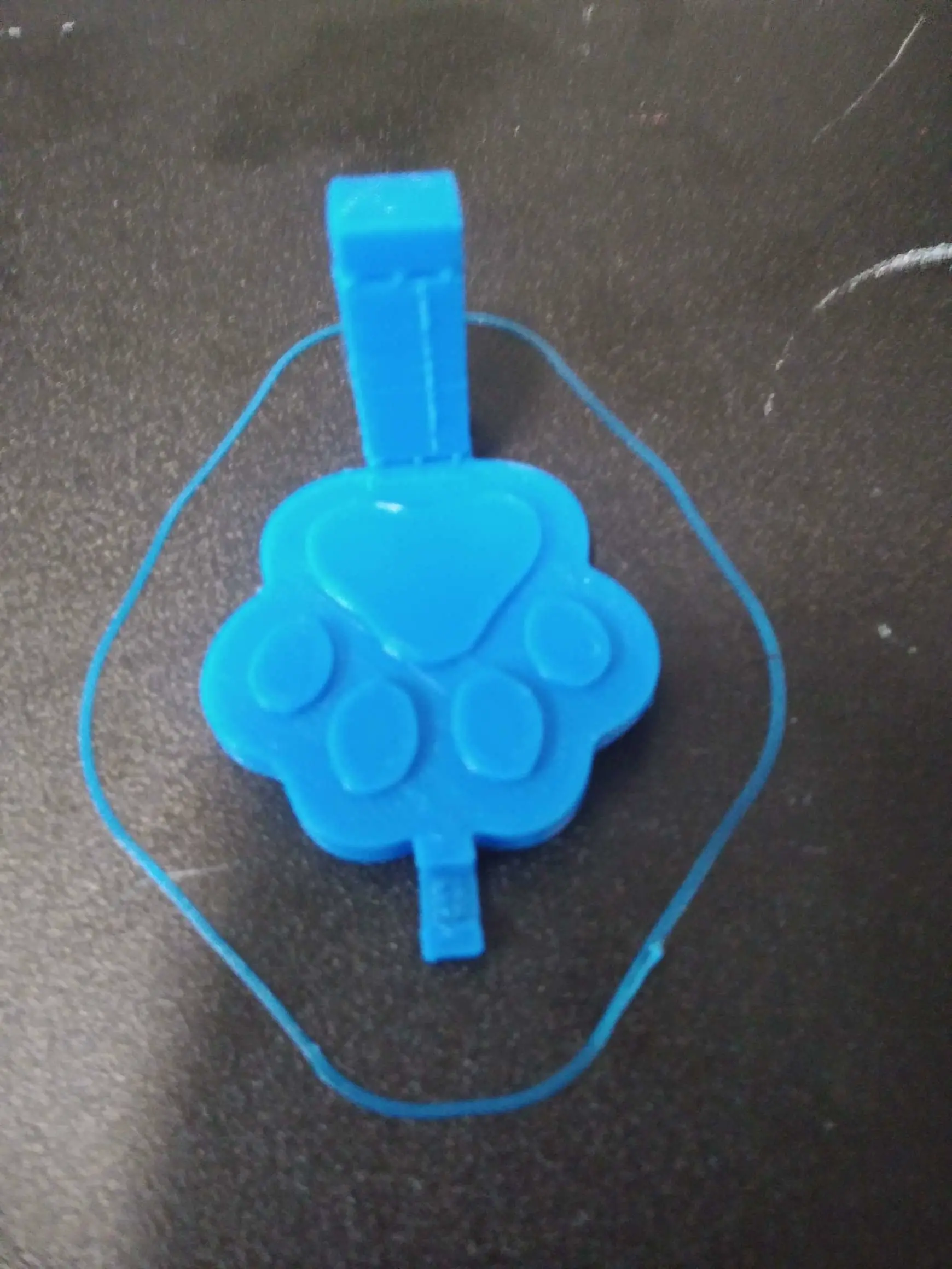 Dog Leash Hook