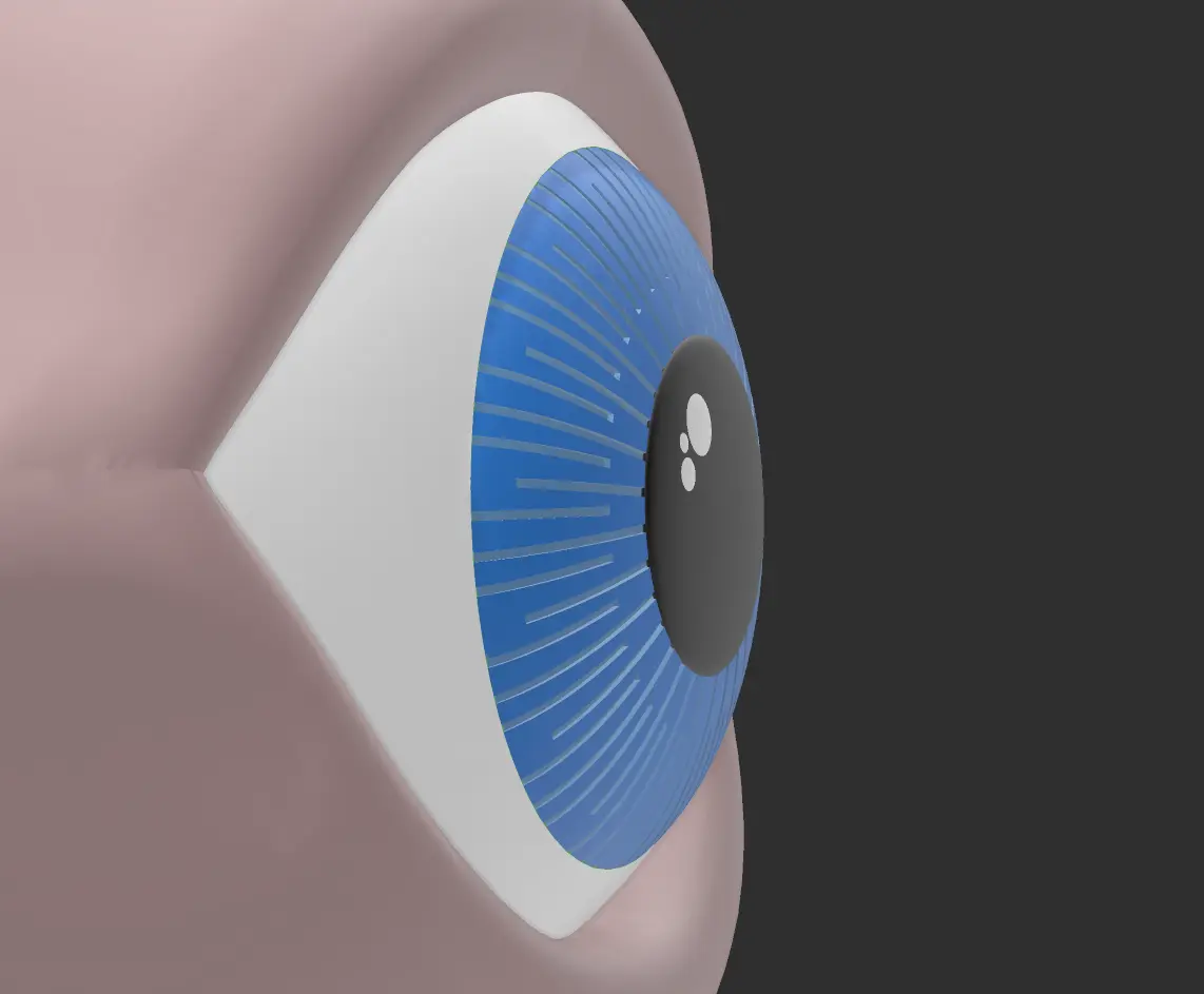 flying eye