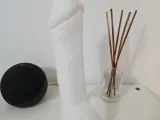 Dick Lamp-2