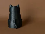 Guardian Kitty-5