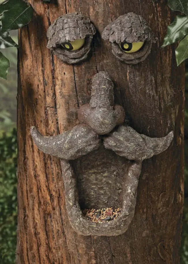 Funny tree face of a old man