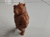 Capybara Bodybuilder Capy GYM-2