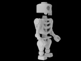 Articulated SKELETON-7