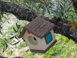 Cute Bird House-6