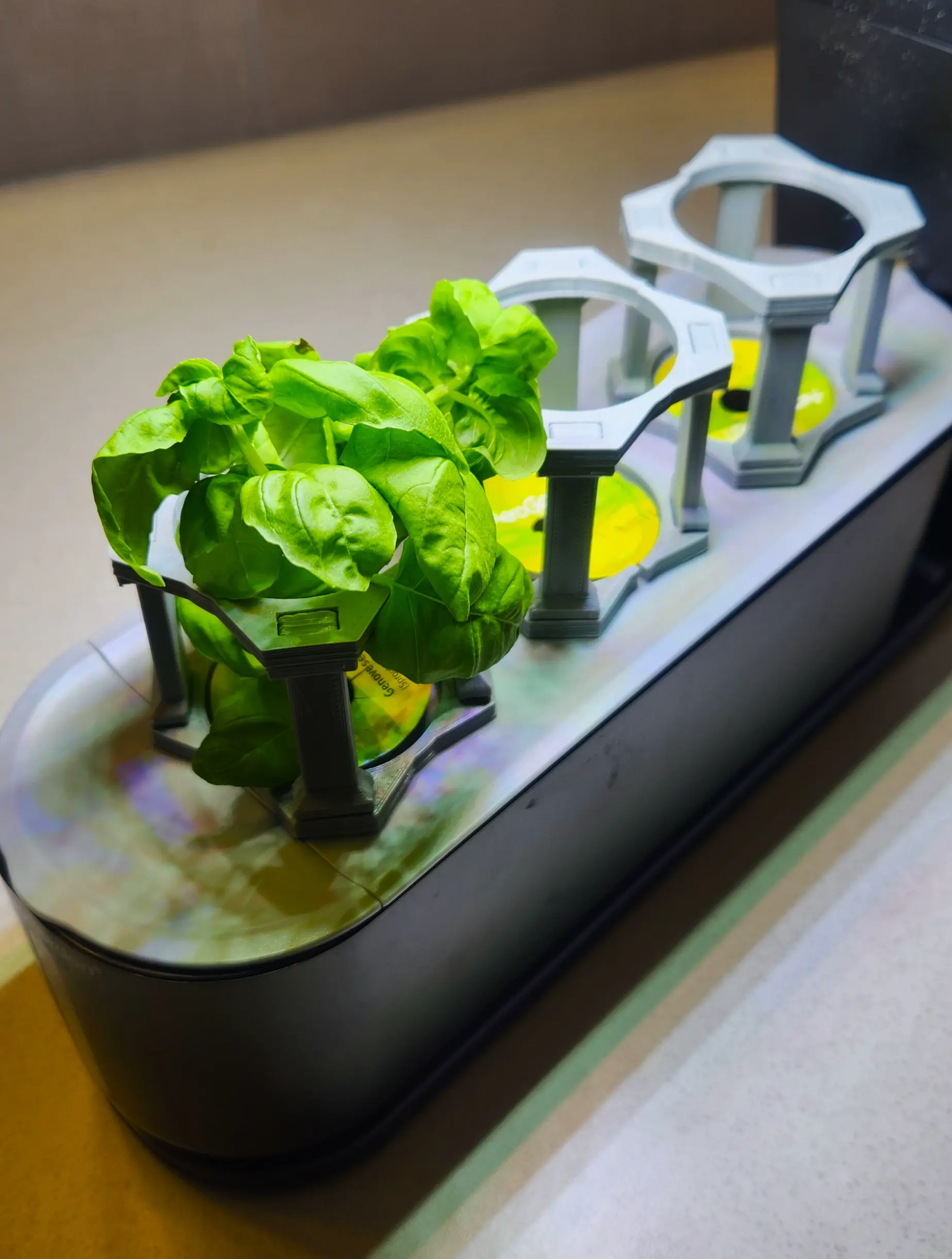 AeroGarden Plant Support