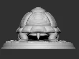 TORTOISE-4