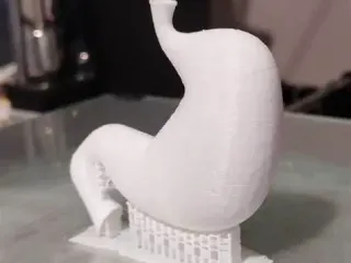 estomago realista