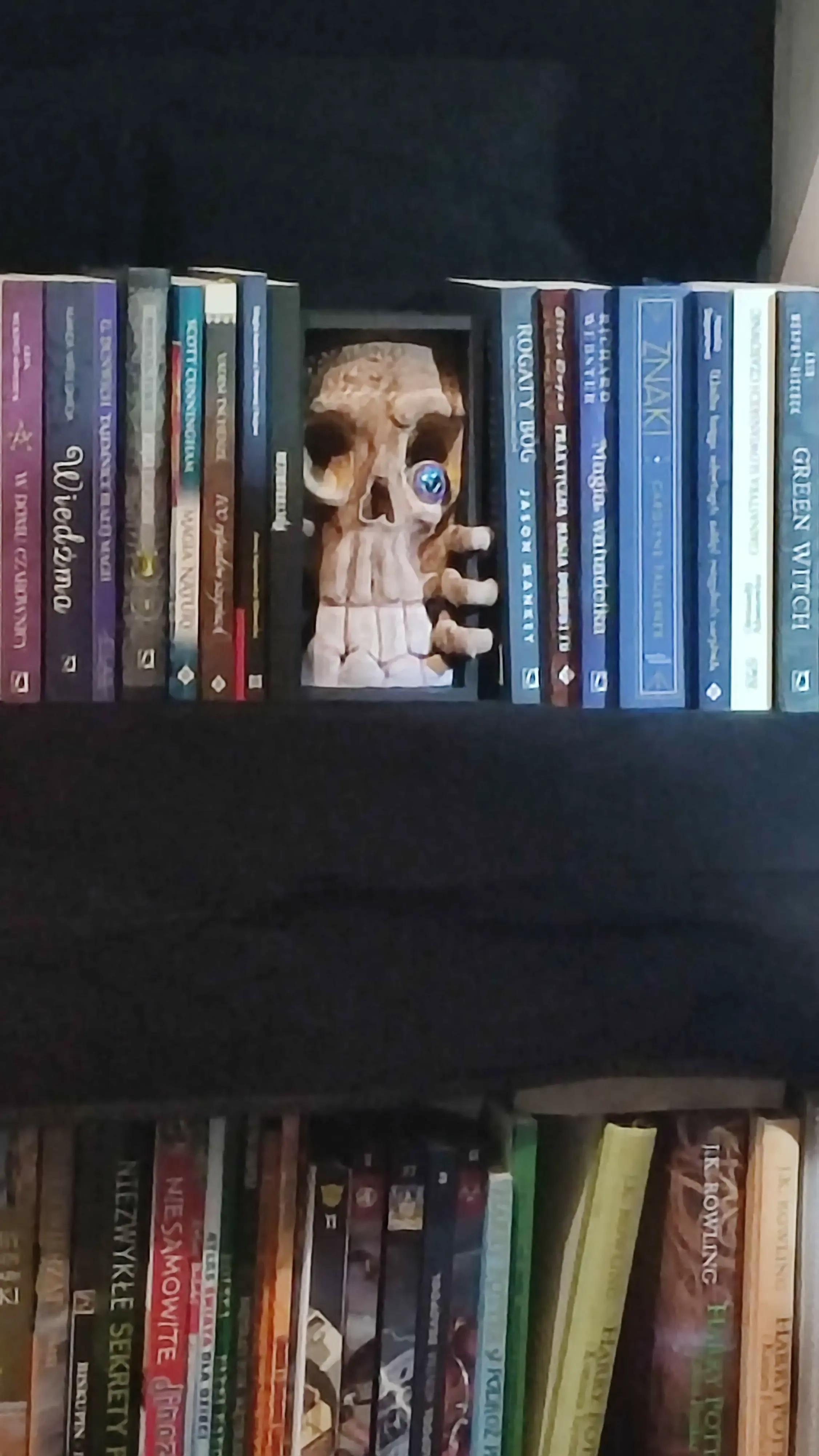 Skull Book Nook Decor