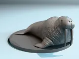 Walrus-1
