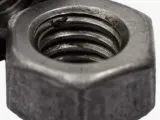 Nut-1