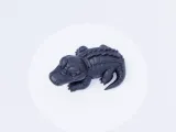 Cute Alligator Smiling Cute Alligator Smiling-2
