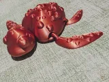 Flexi Heart Turtle-5