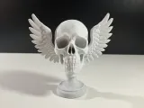 Angel Skull-2