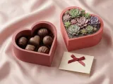 Heart Container Duo with Drainage and Storage Versions-9