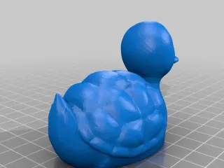 turtle duck