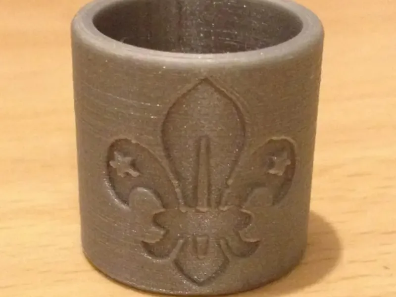 Scouts Woggle 