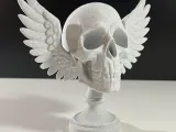 Angel Skull-0