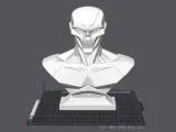 Skeleform Display Bust-4