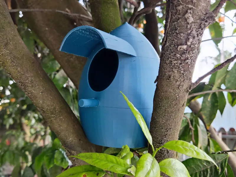 Bird House