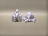 可活动贵宾犬-1