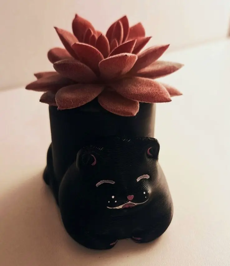 Kitty plantenbak