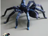 Bird Eater Spider-2