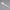 spork