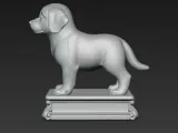 Tiny Puppy-3