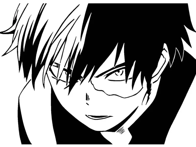 Shoto Todoroki stencil
