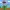 piranha plant - Super Mario Bros