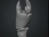 爪と貝殻-3