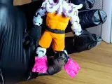Zotto il Ramingo-3