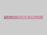 SALACIOUS B. CRUMB_ star wars keychain-0
