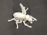 FLEXI PRINT-IN-PLACE BEETLE-5