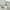 tooth brush holder
