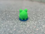 Frog named Rina-2