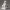 3693 Spirito della Volpe in Stile Pu Song Ling  fantasy  gotico  STL