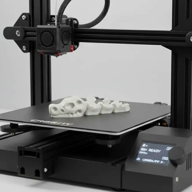 Esqueleto Dino Felxy